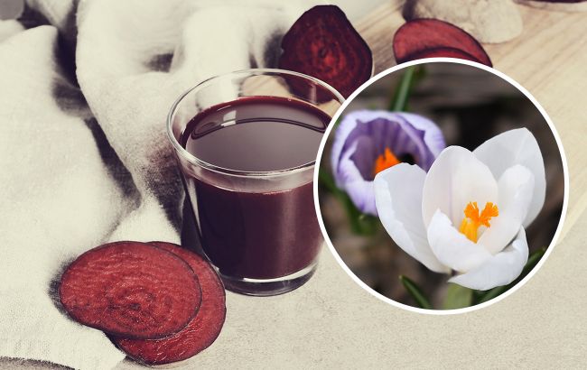 "Бурякова" вода для кімнатних рослин: як приготувати супердобриво