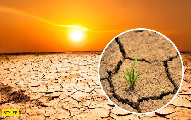 На Земле зафиксировали самую высокую температуру за 107 лет: глобальное потепление продолжается