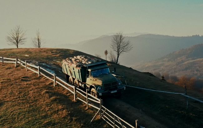 Проблему вирубки карпатських лісів показали в яскравому відео