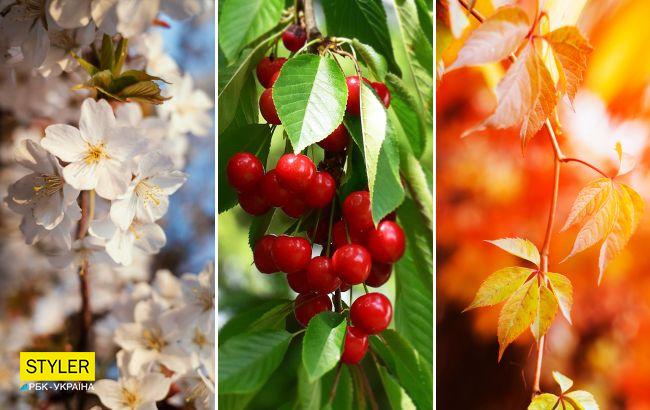 Какая будет погода в Украине летом: прогноз на каждый месяц