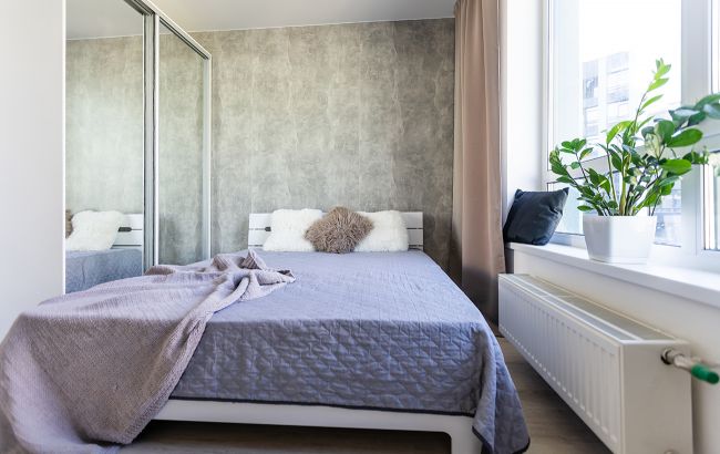 Ця рослина обов'язково має бути в спальні: чудово очищає повітря