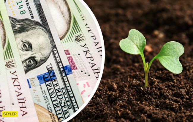 Продажа земли в Украине: в чем суть закона