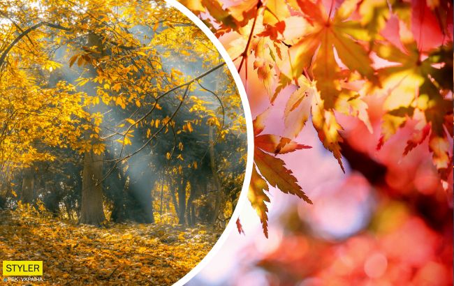 Теплая и солнечная, но есть нюанс: синоптик уточнила погоду на 1 октября