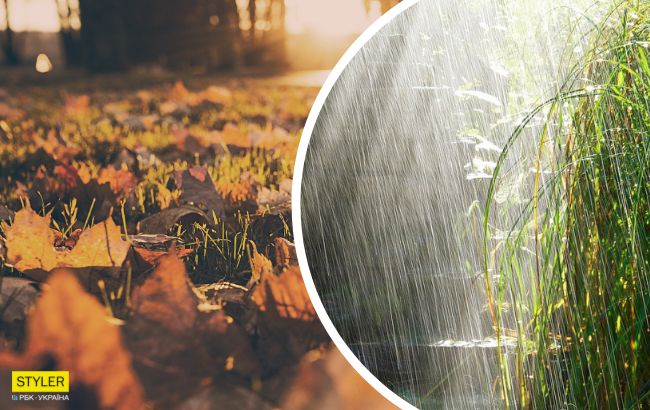 Тепло повертається: синоптики ощасливили українців прогнозом