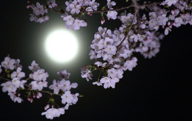 Повня - час змін: як почати нове життя і знайти своє щастя