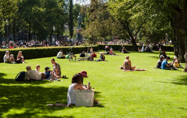 В Швеции в парках разбрасывают куриный помет, чтобы избежать скопления людей