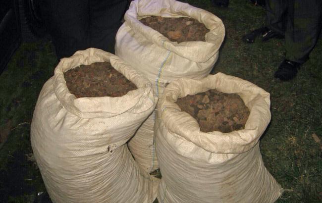 Житель Ровно перевозил в автомобиле 113 килограммов янтаря