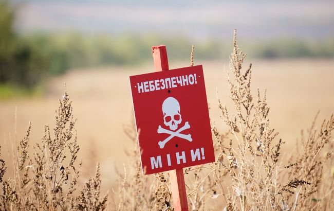 Смертельна пастка для дітей: в Україні з&rsquo;явилися небезпечні боєприпаси, схожі на іграшки