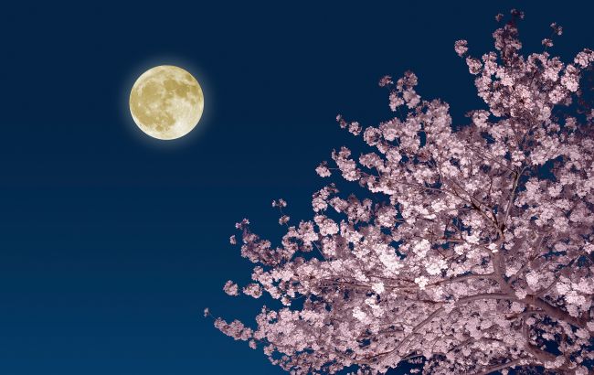 Над Україною зійде Рожевий Місяць: коли і де його можна побачити