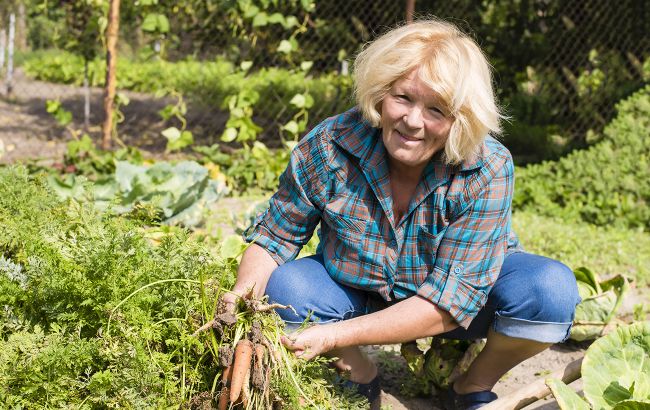Чи правда, що робота на городі додає 10 років життя. Відповідь лікаря