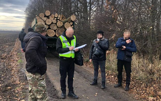 У Вінницькій області суворо покарали "чорних" лісорубів: який вирок суду