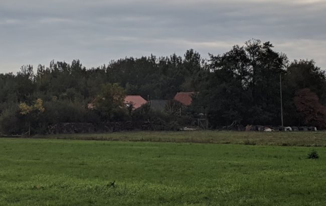 В Нидерландах семья девять лет ждала конца света в подвале на ферме