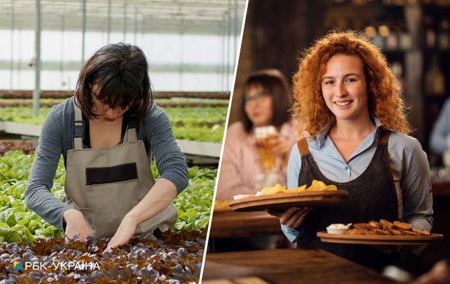 Від 2000 євро. На якій роботі в Нідерландах українці можуть заробляти без знання мови