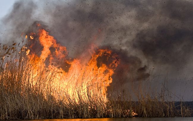 В Черниговской области горят заповедные территории
