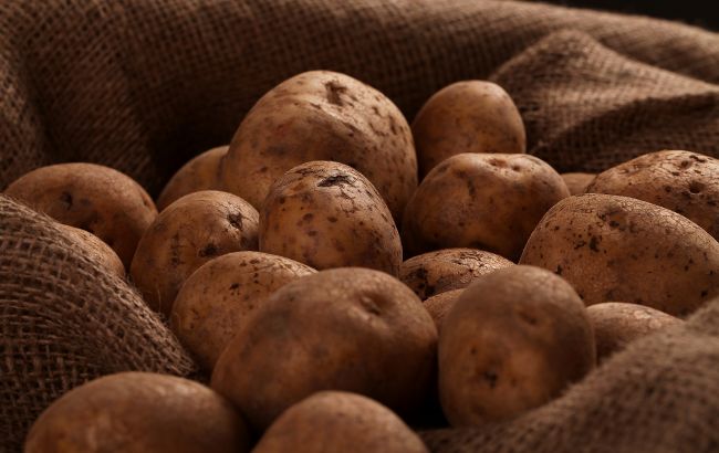 В Україні несподівано подорожчав популярний овоч старого врожаю