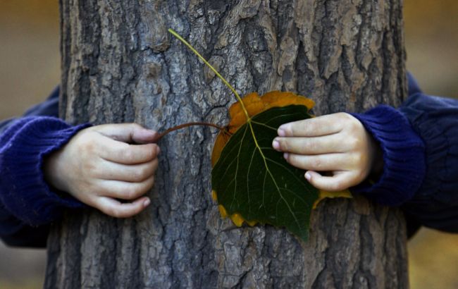 День осеннего равноденствия: важные советы от астрологов