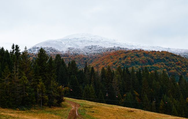 Перший рівень небезпеки: коли Карпати накриє негода й що радять рятувальники