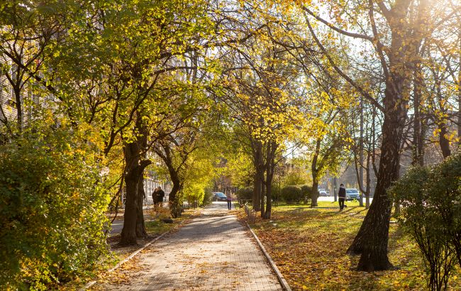 Ноябрь побил 5 температурных рекордов за день: где прогрело до +18 (карта)