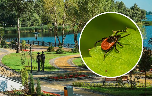 Киян просять не ходити в парки, щоб не отруїтися: що відомо