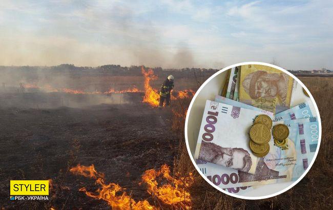 Перестаньте жечь траву! Почему это опасно и какие грозят штрафы