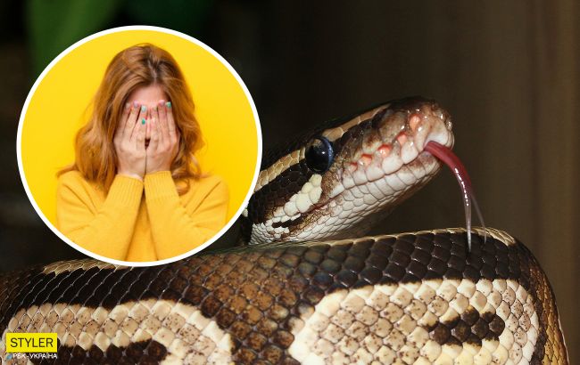 Под Сумами в центре города нашли трехметрового питона (фото)