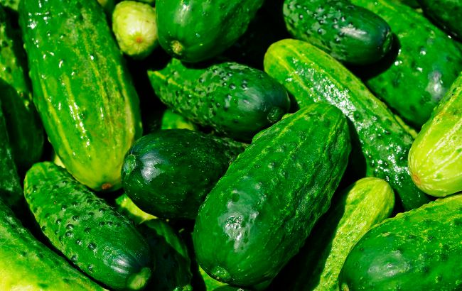 Названо найкращий спосіб зберігати вдома огірки свіжими та хрусткими