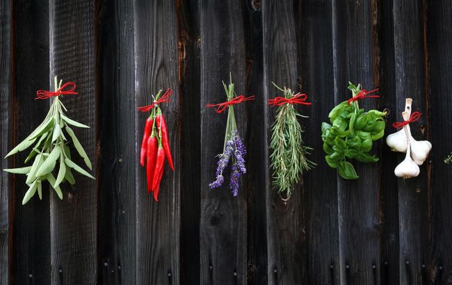 Какие специи всегда должны быть на вашей кухне: советы лучших кулинаров мира