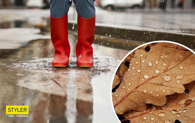 Дожди и холод быстро отступят: когда в Украину вернется солнце и тепло