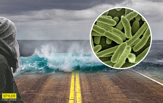 Глобальное потепление: ученые сделали важное заявление