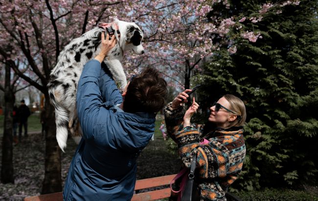 Днем до +23 градусів. Синоптики дали прогноз на завтра в Україні