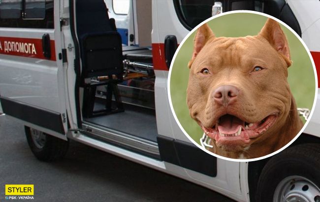 Возвращались из садика: в&nbsp;Киеве собака набросилась&nbsp;на мальчика с отцом и серьезно травмировала&nbsp;(фото)