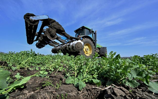 РФ планує змусити фермерів в окупації віддавати зібрані овочі, - ЦНС