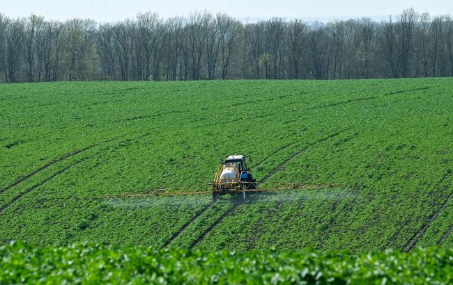 Армії потрібніше? У російських містах відбирають сільськогосподарські землі