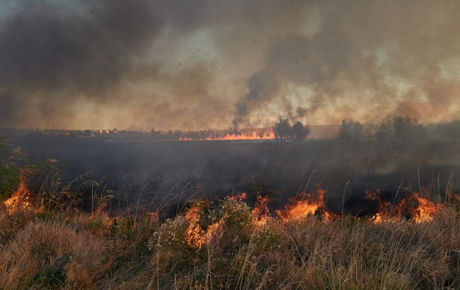 Багаття ціною 30 тисяч: українцям нагадали про штраф за спалювання трави