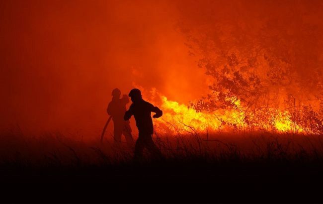 Лесной пожар обесточил более 150 потребителей на Полтавщине