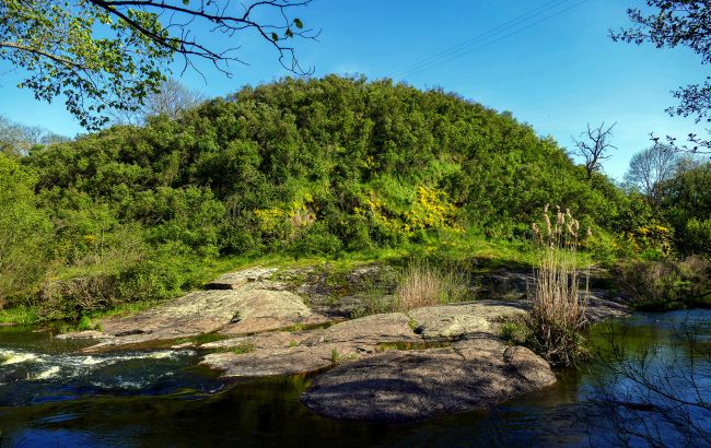 Від обміління до заростання русел. З якими проблемами зіткнулись річки Київщини