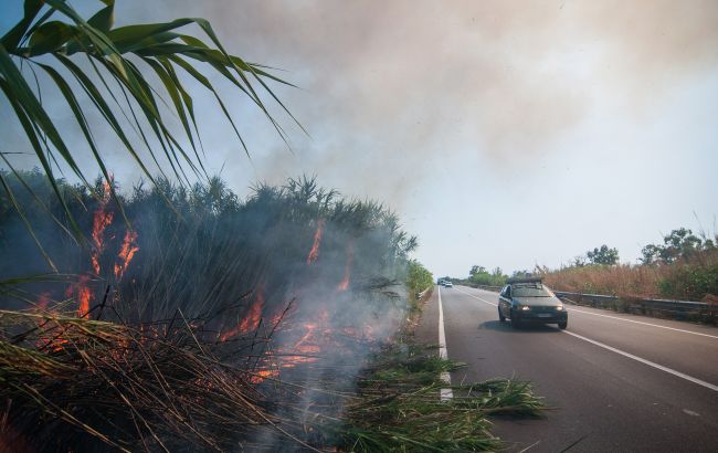 Лісові пожежі можуть охопити Італію: влада країни попередила населення