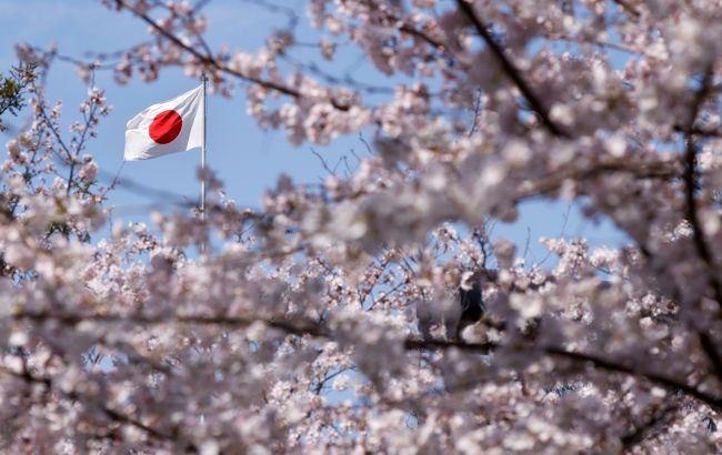 Японія та Німеччина домовилися про координацію дій у зв'язку з фінансовою нестабільністю