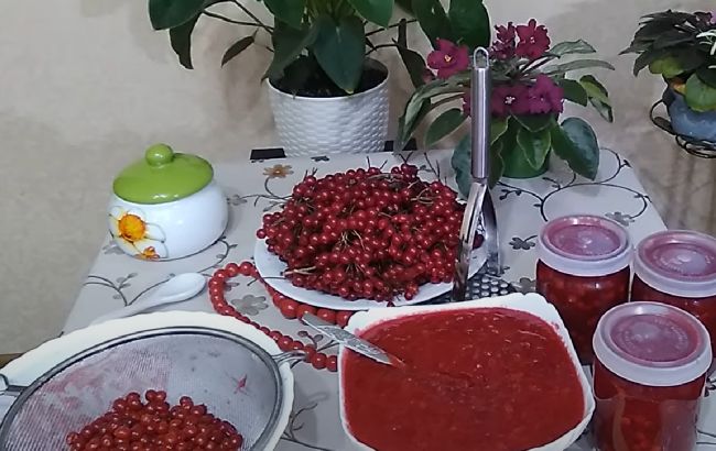 Як заготовити калину на зиму, щоб вона зберегла максимум своєї користі