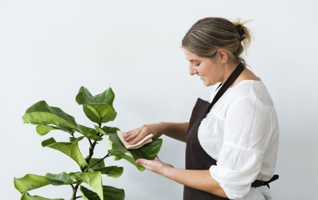 Не робіть цього з рослинами: 10 помилок, яких припускаються власники