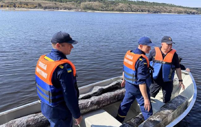 На Хортиці водолази врятували 11 човнів ХVIII століття: що відомо