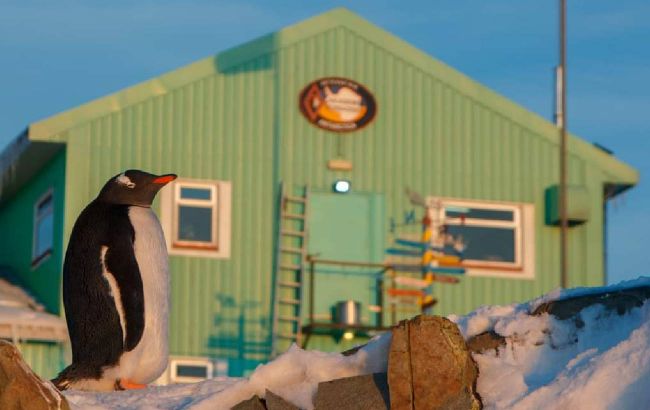 Футбол, гітара і тактика ведення бою. Як українські полярники відпочивають в Антарктиді