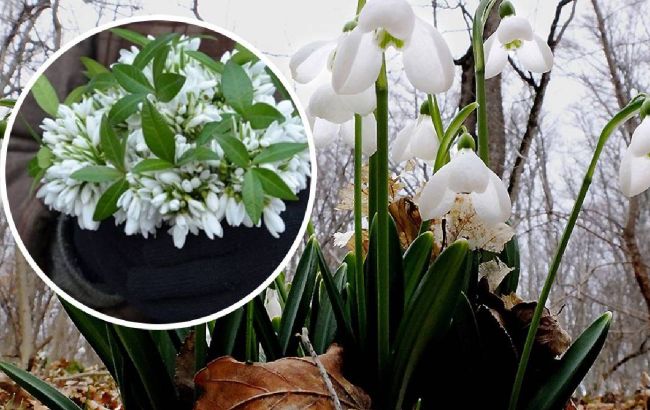 Украинцев предупредили о "весенних" штрафах. За что можно "влететь" на деньги