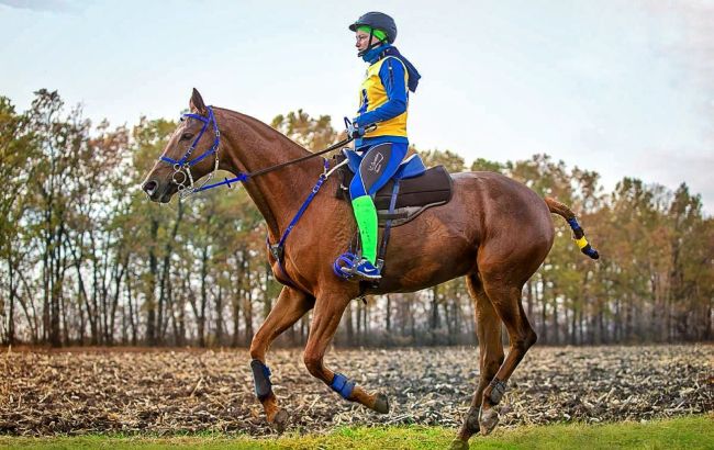 Россияне уничтожили конный клуб под Киевом: животные погибли