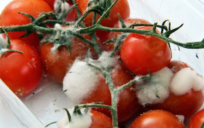 Эти ошибки приводят к быстрой порче продуктов: немедленно проверьте холодильник