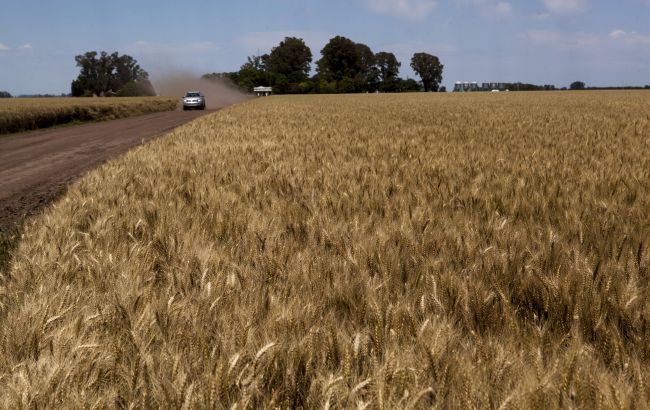 Окупанти дотують колаборантів: ЦНС викрив схему на Херсонщині