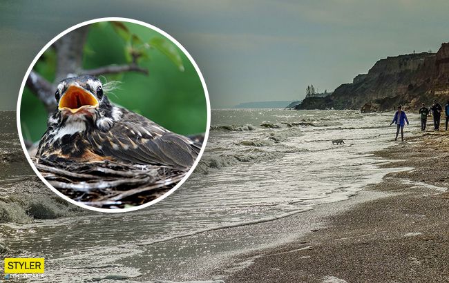 Аномальная зима в Украине: птицы гнездятся, рыба готовится к нересту