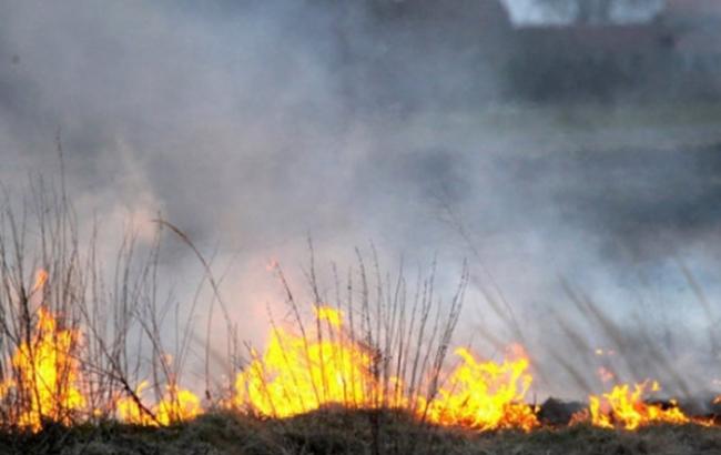 Под Чернобылем продолжаются работы по тушению пожара, - ГСЧС