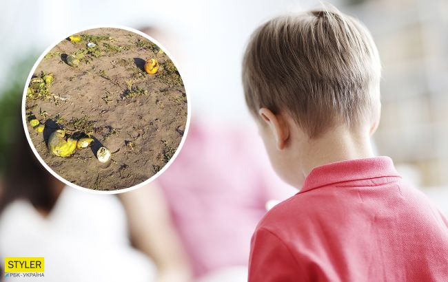 Школьников заставили работать на поле вместо уроков: в Черкассах разгорается скандал