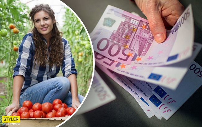 Європа "загинається" без українських заробітчан: готові повертати за свій рахунок